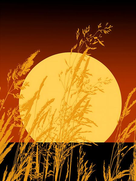 Gras Sonne und Silhouette von Jack Schoneveld