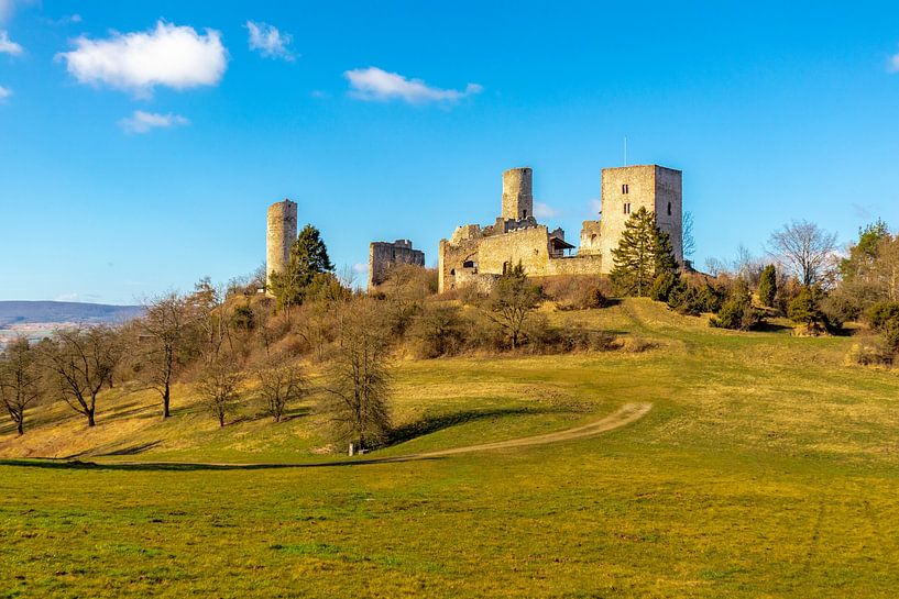 Promenade printanière autour des ruines du château de Brandenburg, dans la belle ville de Bonn. par Oliver Hlavaty