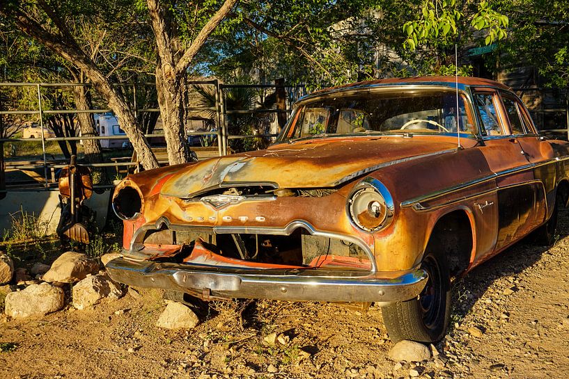 Desoto par Tineke Visscher