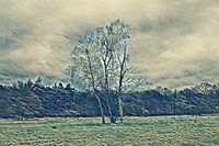 Le murmure de la lumière