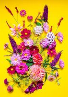 Summer Radiance - wo Blumen Freude flüstern.