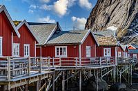 Reine
