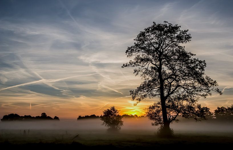 Zonsopgang in Drenthe by Steven Poulisse