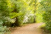 Où ce chemin mène-t-il ? (2)