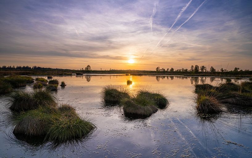 Brackvenn, Hohes Venn, Belgien von Alexander Ludwig