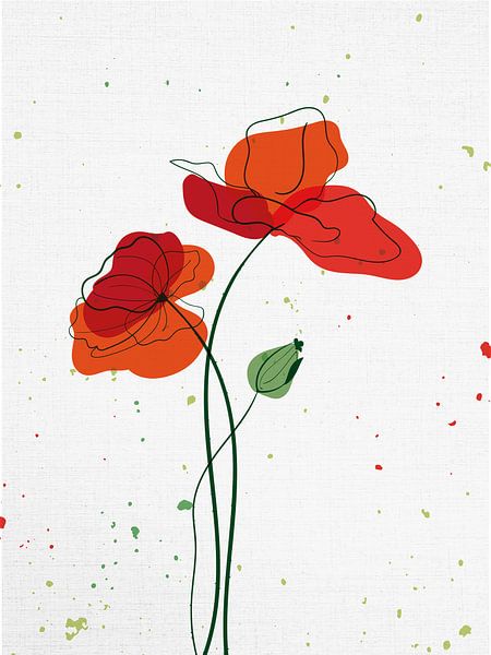 Coquelicots par Color Square