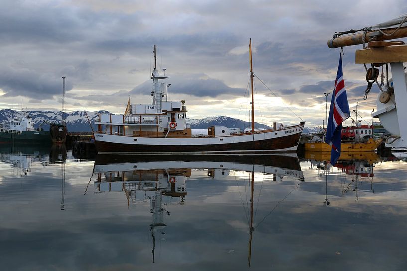 Blick auf den Hafen von Husavik, Island von Liesbeth Vogelzang