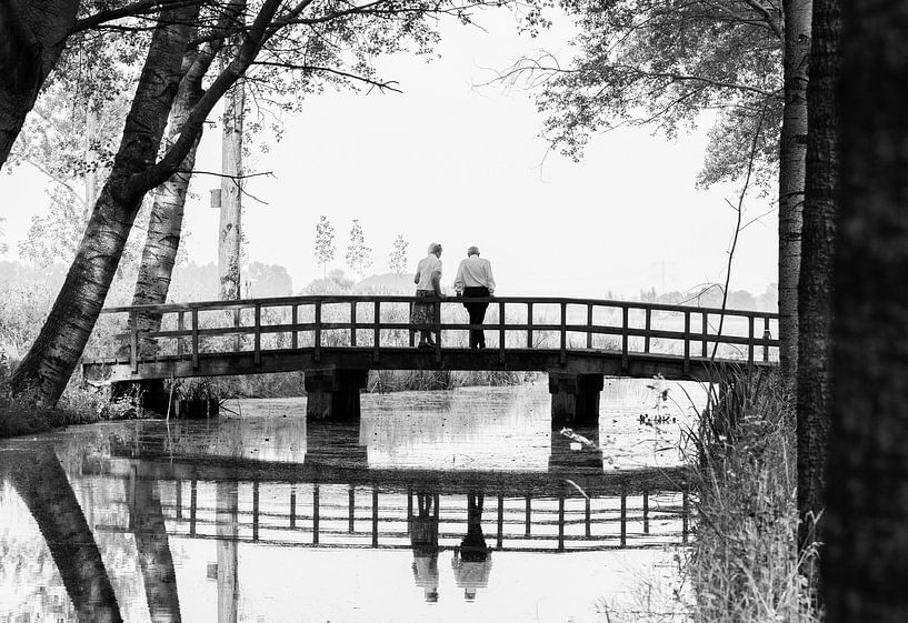 A lovely walk in the forest older people on a bridge  by noeky1980 photography