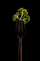 Petersilie auf Kupfergabel auf schwarzem Hintergrund