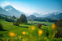 springlike view from the Malerwinkel in the Allgäu to the whole Allgäu Alps
