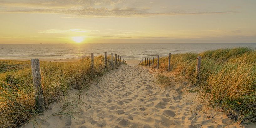 Op het strand! von Dirk van Egmond