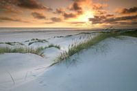 Coucher de soleil dans les dunes