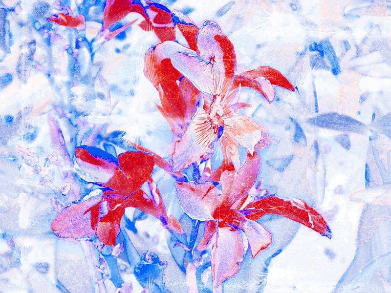 FlowerPower Fantasie 5-A von MoArt (Maurice Heuts)