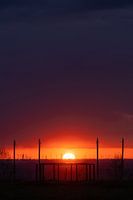 Sonnenuntergang über dem Windpark