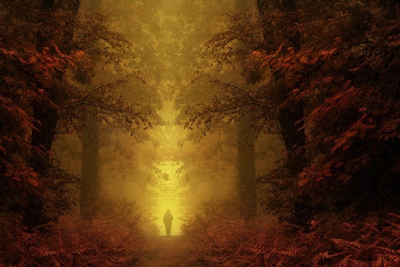 Karmesinroter Damast. von Inge Bovens