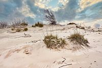 Côte de Schoorl avec la dune