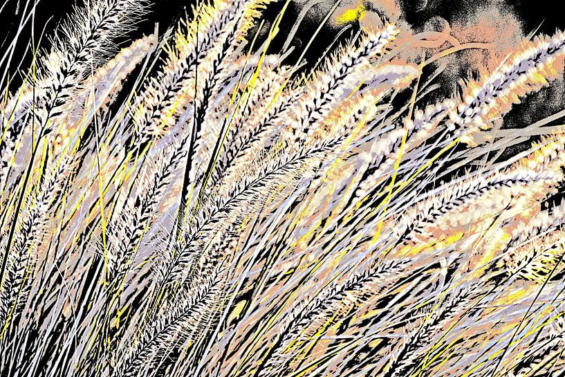 Blue buffalo grass in sunlight mixed media by Werner Lehmann