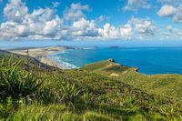 Vue sur le Cap Reinga, Nouvelle-Zélande