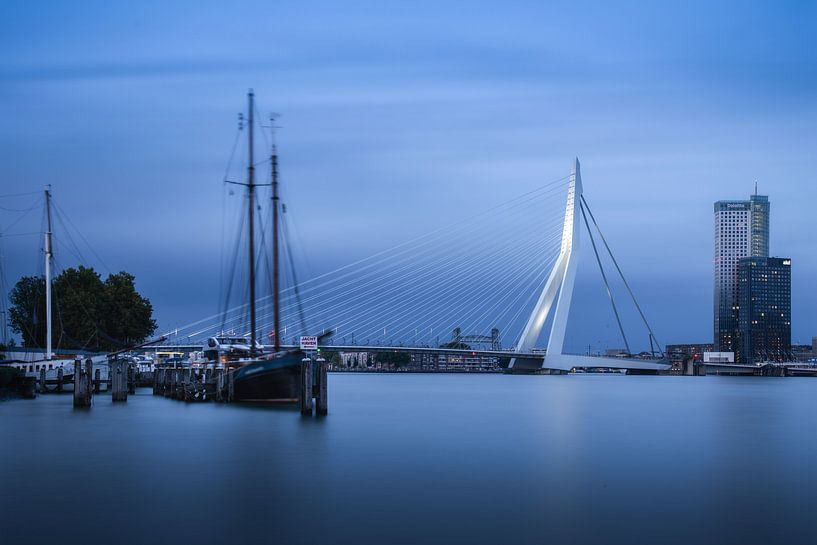 Pont Erasmus de Rotteram par Niels Dam