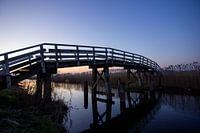 Foot bridge during golden hour