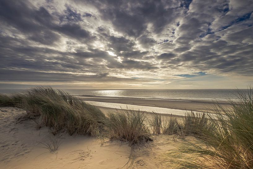 The dunes on Ameland by Niels Barto