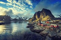 Lofoten Reine