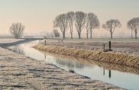 Gefrorene Polderlandschaft an einem frühen Morgen