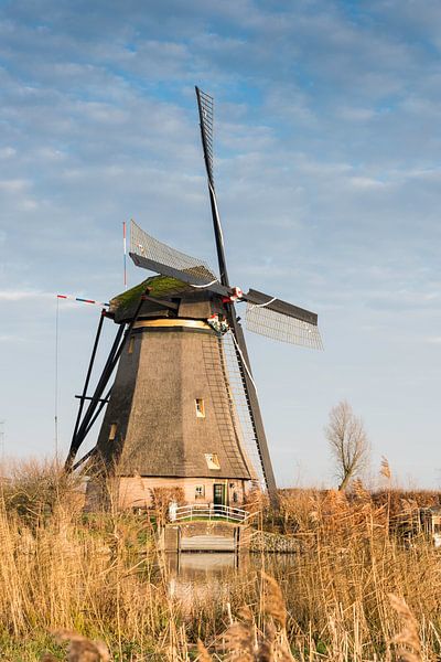 windmills in Kinderdijk Holland von ChrisWillemsen