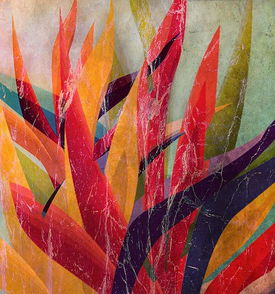 Botanische Spielereien von Kay Weber