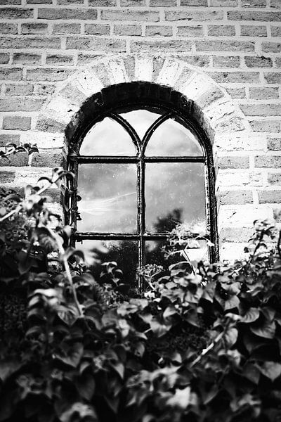 Hidden window behind the bushes | Elburg, Netherlands | Street Photography by Diana van Neck Photography