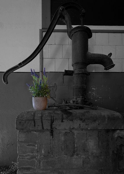 Alte Wasserpumpe in Fort Nigtevecht von Peter Bartelings