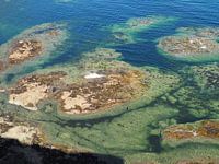View from the cliff / out to sea from Tantallon Castle