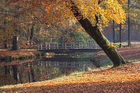 Bridge over water in autumn