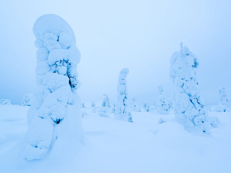 Eisige Giganten von Denis Feiner