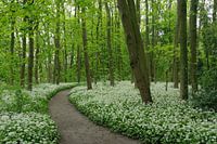 Mooie foto van de natuur.