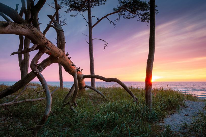 Sunset at West Beach II by Martin Wasilewski