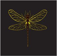 Illustration Libelle Insekt gelb-goldene Farbe auf schwarzem Hintergrund