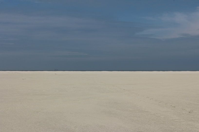 Schiermonnikoog, The Reef by Pim van der Horst