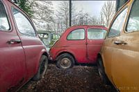An abandoned hangar full of colorful Fiats