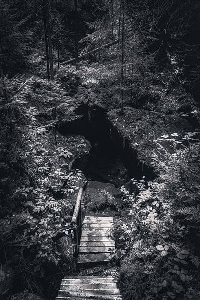Blair Witch Project zwischen Felsen und Sandsteinen in Bad Schandau von Jakob Baranowski - Photography - Video - Photoshop
