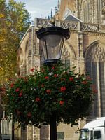 Blumen auf der Laterne am Domturm