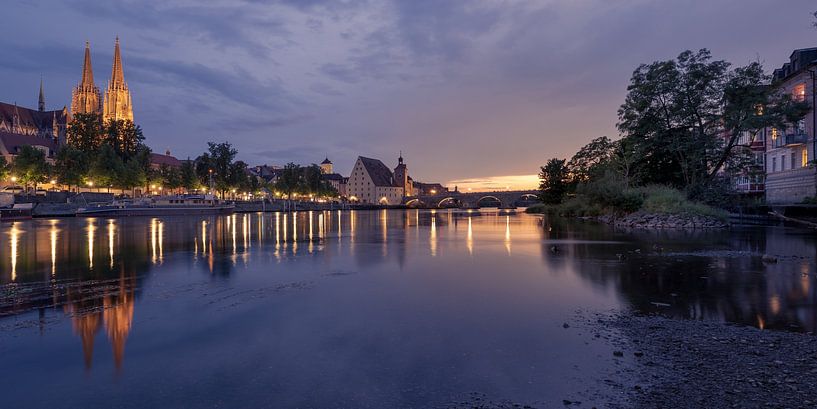 Dom und Steinerne Brücke von Regensburg, Bayern, an der Donau von Robert Ruidl