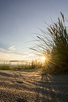 Sonnenaufgang in den Dünen