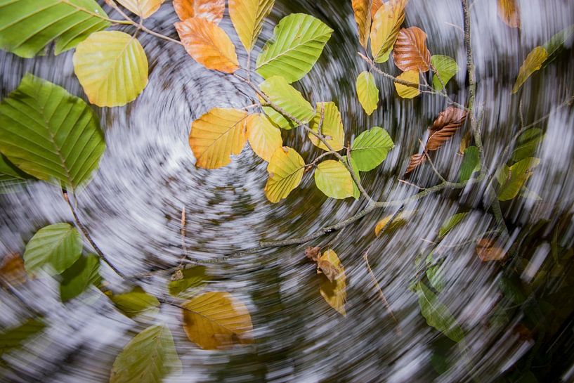 Herbst von Jarno van Bussel