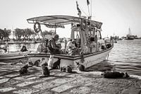 "En attendant notre petit-déjeuner" Samos Pythagorion