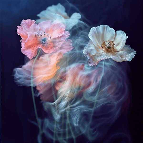 Poppy flowers dream by Sander Hupkes