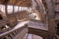 Musée d'histoire naturelle de Londres / Musée d'histoire naturelle de Londres