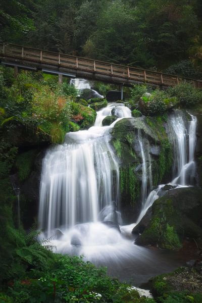 Chute d'eau dans la Forêt Noire | vitesse d'obturation longue | photographie de voyage | papier peint photo par Laura Dijkslag