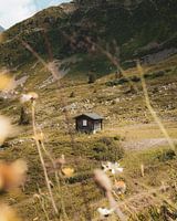 Abandoned hut in the french alps