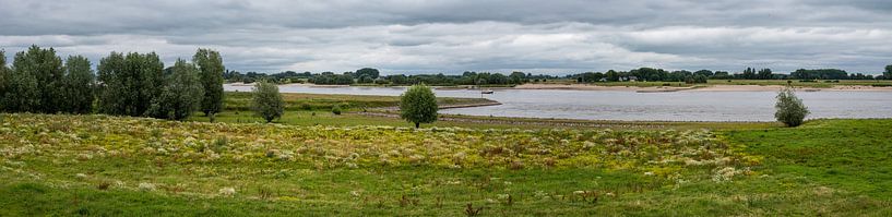 Vue du paysage sur la plaine d'inondation naturelle de la rivière Waal, Do. par Werner Lerooy